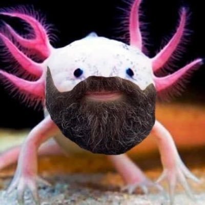 alec_c4's profile picture. Higgledy-fuckeldy-piggledy and release!