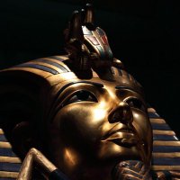 Pharaohs_Bussiness(@DragonBussiness) 's Twitter Profile Photo