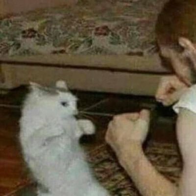 Moon Nyan @M00nNyan - Twitter Profile
