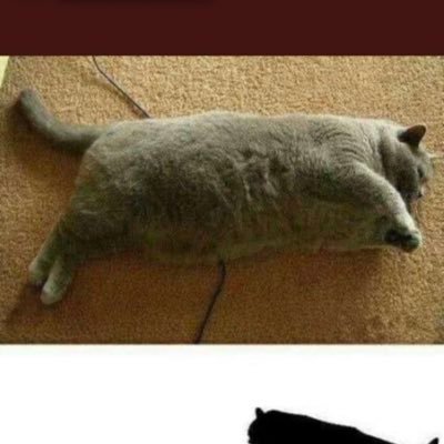 vier1900's profile picture. Chômeur actif et future chômeur