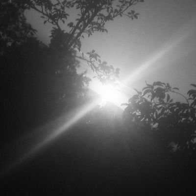 HavinDe60577768's profile picture. Gün yüzü hariç, tüm yüzleri gördük