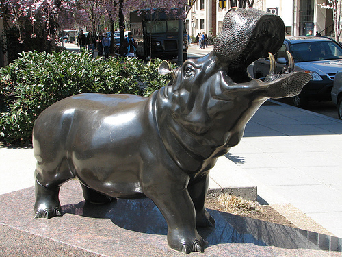 You've probably seen us around #GWU campus.
