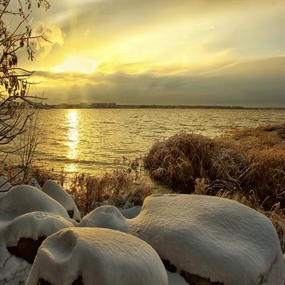 apeacox's profile picture. View are my own, Not of my employer.