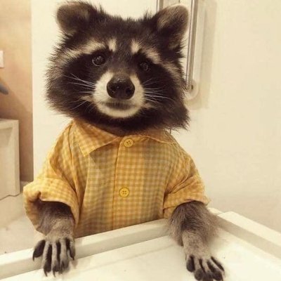 Alaskalmao's profile picture. 