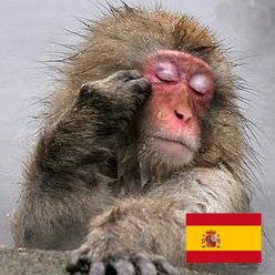 Alonso Quijano 🇪🇸 🇪🇸 Profile