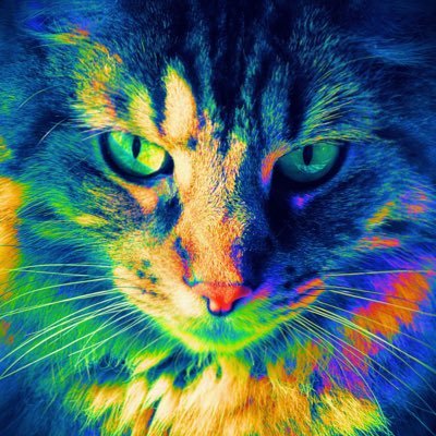If you like cats and sarcasm you’ll like our page.