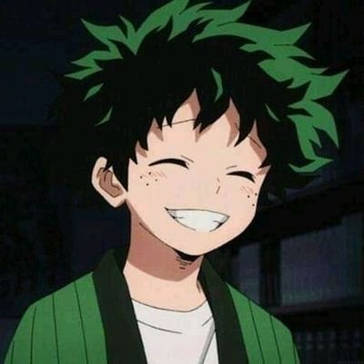 Hi
I'm midoriya
BNHA