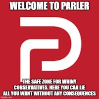 ParlerVideos (@parlervideos) 's Twitter Profile