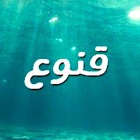 قنـوع!(@Qnoou3) 's Twitter Profile Photo