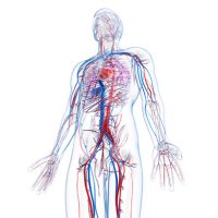 Southampton Vascular Unit (@unitvascular) 's Twitter Profile