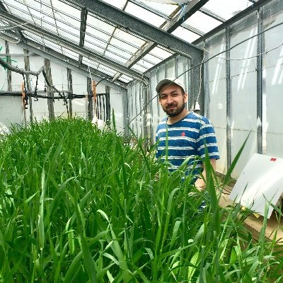 Researcher in Agronomy | Plant and Food Nutrition | Crop Breeding👨‍🔬🧬🌾🏏🥗