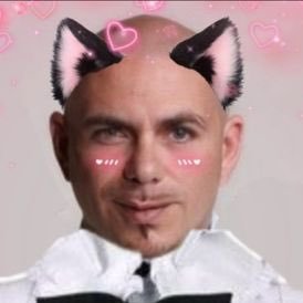 dale❤️, Believe me, been there, done that (IM NOT ACTUALLY PITBULL, PLS DONT BAN ME TWITTER) https://t.co/HGA13c8Pco