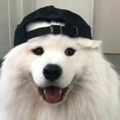 sebatwm's profile picture. 22
Defensor de la menta granizada
Boca