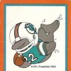 Fan de los Miami Dolphins