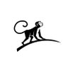 LMMinsights's profile picture. Model Monkey and Foot Soldier for carry, I only use Calibri, one sheet and a 1,000 rows in excel. Follow my unique journey from IB turned PE