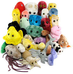 microbe_a_day's profile picture. Professor of Microbiology at Georgia Gwinnett College - innovation and fun in learning are high priority!