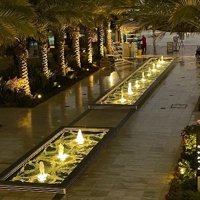 TS_top81's profile picture. 