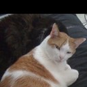 Misty Newton - @wookymom74 - Twitter