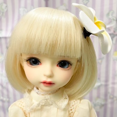 いろりさんのプロフィール画像