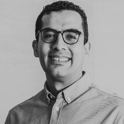 Ahmed M. Elzanaty Profile