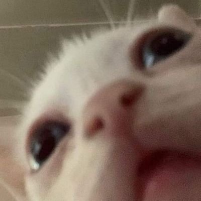 svt_bts03's profile picture. 💜✨Te buscaré entre las estrellas✨💜