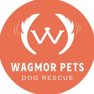 WagmorPets Profile Picture