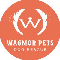 WagmorPets (@wagmorpets) 's Twitter Profile