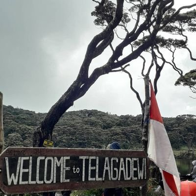 amirki26's profile picture. follow:)