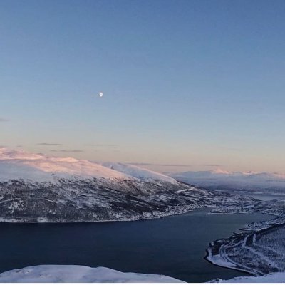 2019pavel's profile picture. 