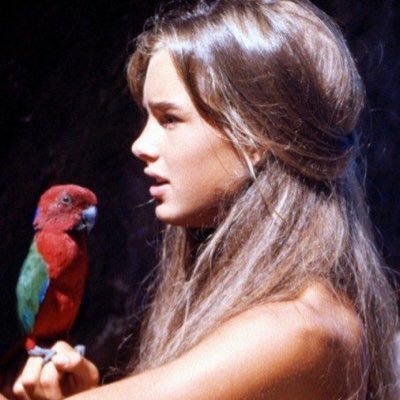 nvccbn33's profile picture. •أزعجني بحُبك لأ تزعجنـي بسُكوتك💛