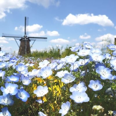 yasagure_sh's profile picture. キマグレ→ヤサグレました。
2022~24.上海暮らし。
毎朝必ず、室温湿度と「あ、おはようございます」と呟きます。