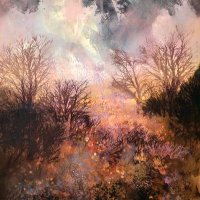 Steph Harrison (@jonsteph1992) 's Twitter Profile Photo