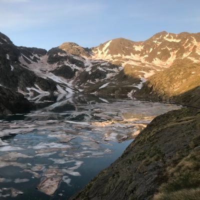 LafailleYannic1's profile picture. 