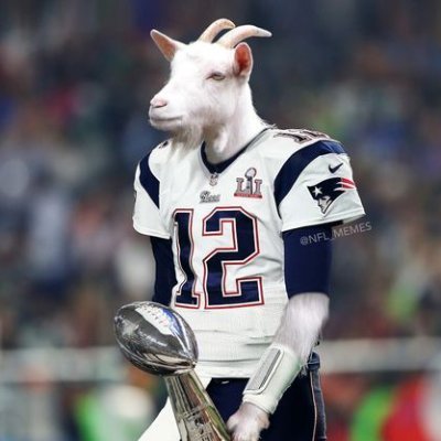 The Goat Tribe NFTs. 2400 GOATs will be minted at .08 ETH. #WelcometotheTribe #Goated
