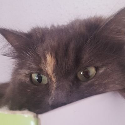 Ivan29370969's profile picture. 