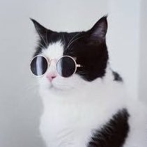 Paiiiii16's profile picture. ~เพื่อน~ ||| @nnenevader