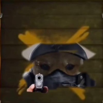 shinzuni's profile picture. 