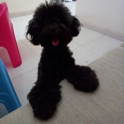 AlienHillary's profile picture. Ayyy yooo