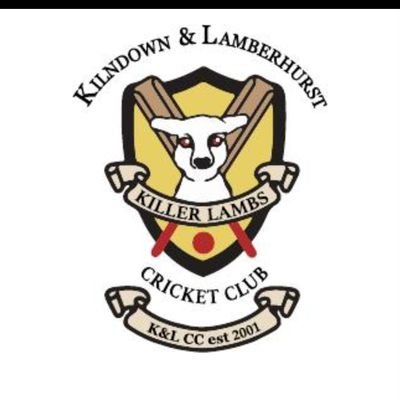 Kent County Village Cricket Club. est 2001 🏏
