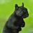blaksquirrel's profile image