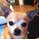 Josh Leach - @Josh__Leach - Twitter