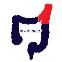 @SF-CORNER(@sf_corner) 's Twitter Profileg