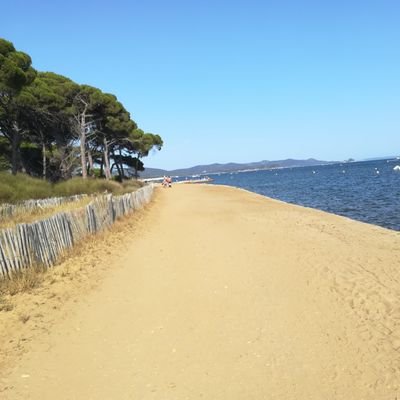 XJakob1893's profile picture. 19