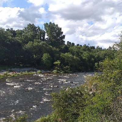 COMEter0's profile picture. Cuenta dedicada a la mejor acción para los próximos años en el MERVAL. Inversor partidario. No tengo nada que ver con morixero pero jugué para el mismo equipo.