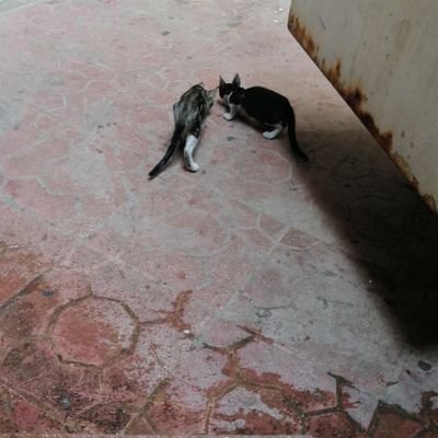 Basm56587906's profile picture. 