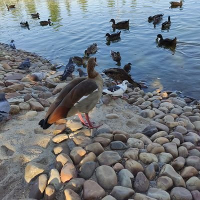 alvmarr_'s profile picture. Web developer / Desarrollador Web. #react #wordpress #webflow
