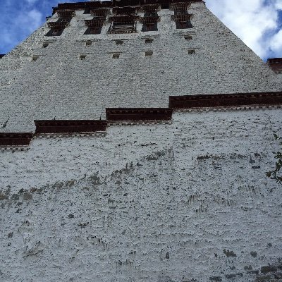 yu80490868's profile picture. 主，清水捆绑，绳专用。