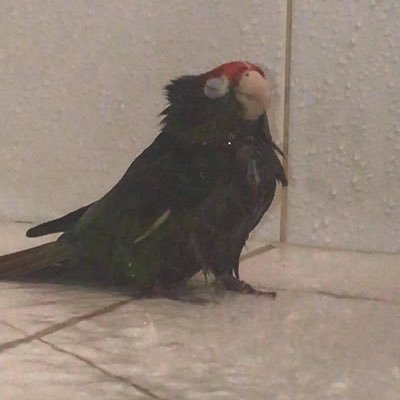 LesaFos66206568's profile picture. 