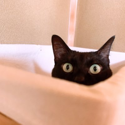 EpRwNUPg1EiXZpR's profile picture. 