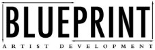 Looking for an opportunity to work with music industry professionals to help advance your career? This is it. BlueprintBeth@gmail.com